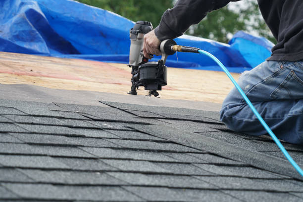Best Metal Roofing Contractor  in Cuthbert, GA